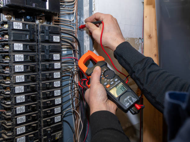 Best Electrician for Home Renovation  in Monticello, MN