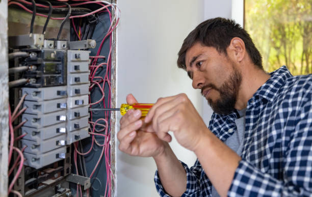 Best Electric Panel Repair  in Monticello, MN